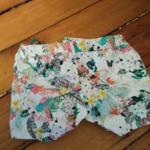 Nordstrom zara girls shorts